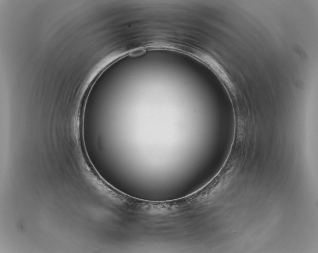 X0000112410955200908141357