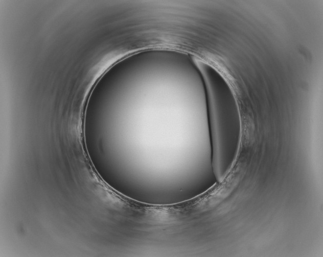 X0000112410956200908141357