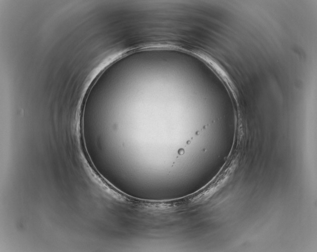 X0000112410957200908141357