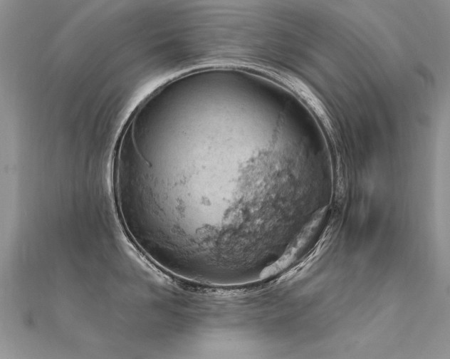 X0000112410958200908141357