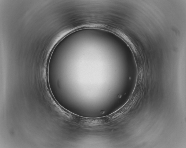 X0000112410959200908141357
