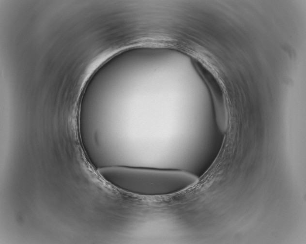 X0000112410960200908141357
