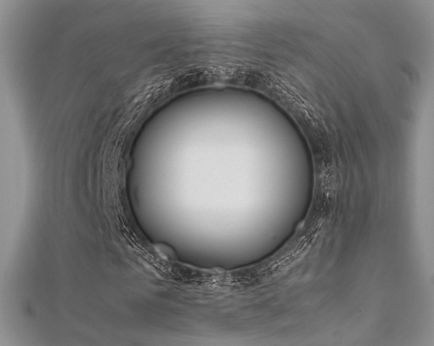 X0000112410961200908141357
