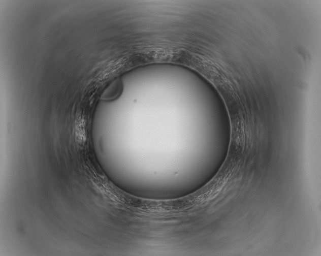 X0000112410962200908141357