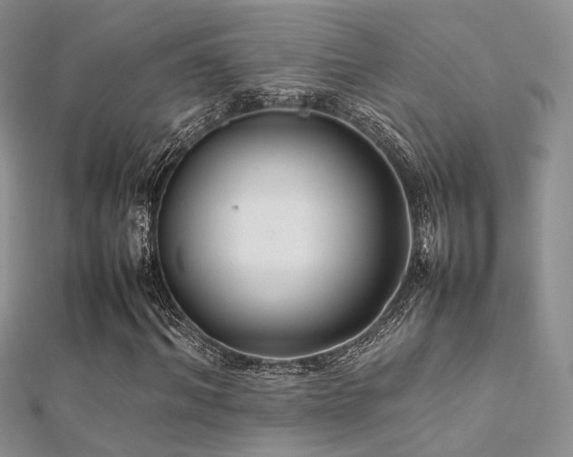 X0000112410964200908141357