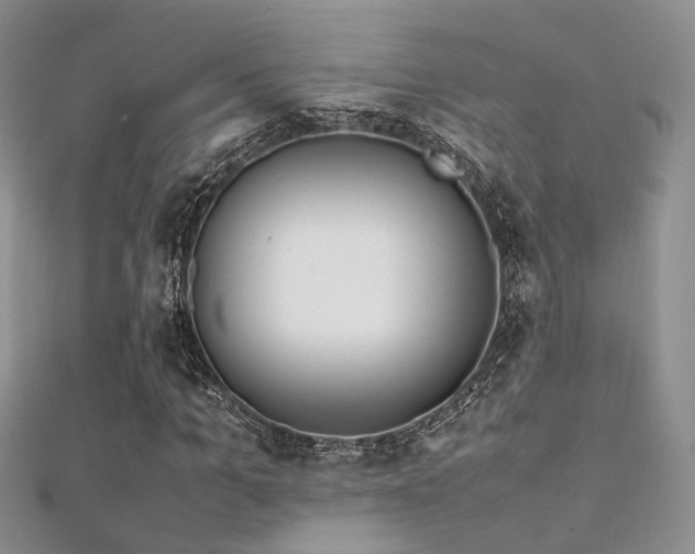 X0000112410965200908141357