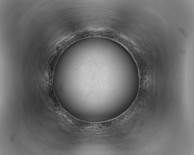 X0000112410966200908141357