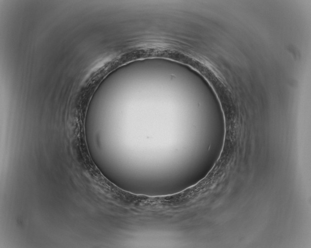 X0000112410967200908141357