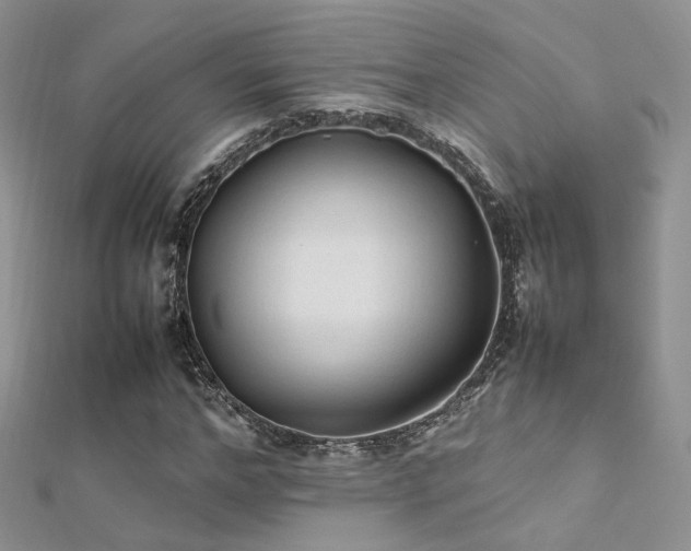 X0000112410968200908141357