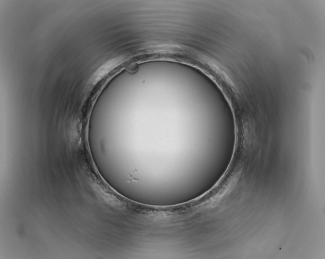 X0000112410970200908141357