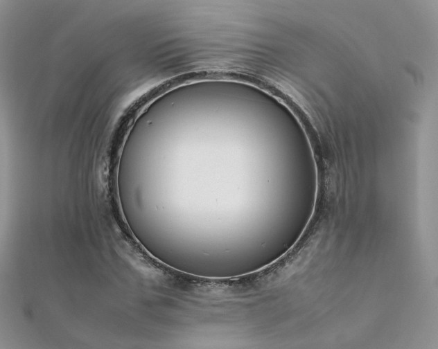 X0000112410971200908141357