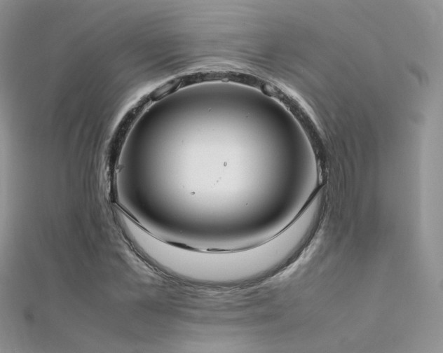 X0000112410973200908141357