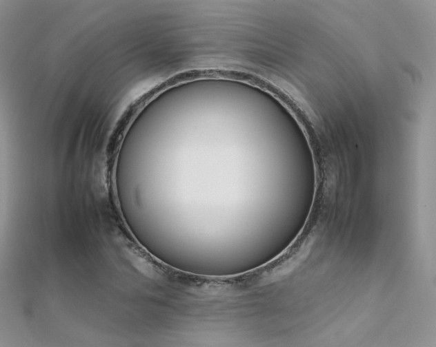 X0000112410974200908141357