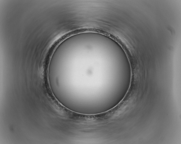 X0000112410975200908141357