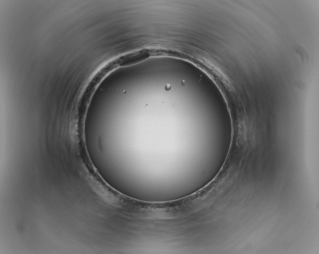X0000112410976200908141357