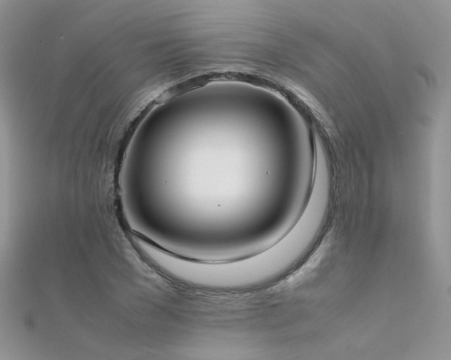 X0000112410977200908141356