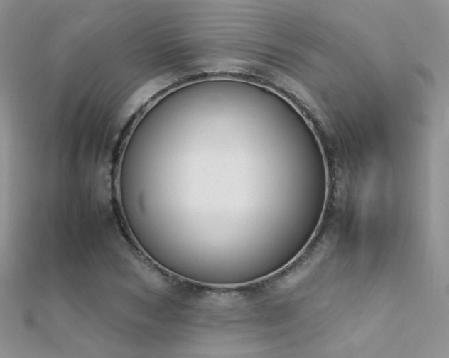 X0000112410978200908141356