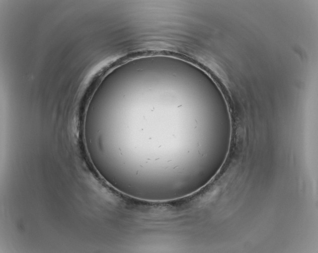 X0000112410979200908141356