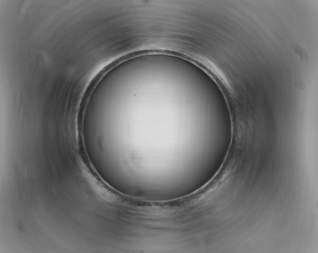 X0000112410980200908141356