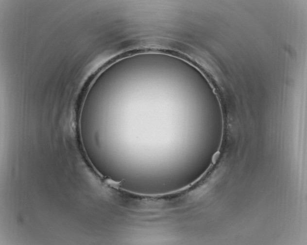 X0000112410981200908141356