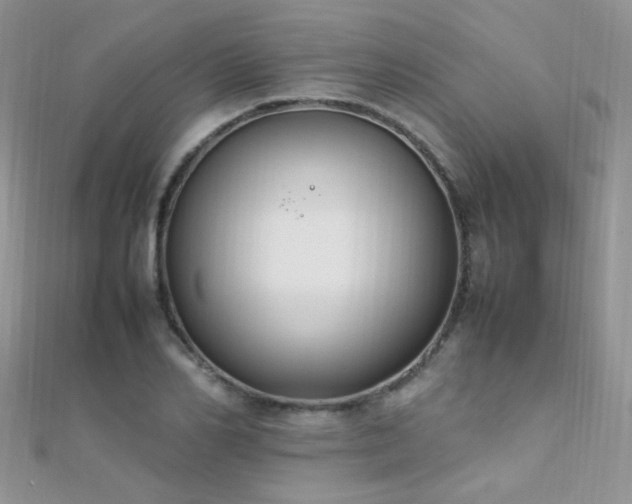 X0000112410982200908141356