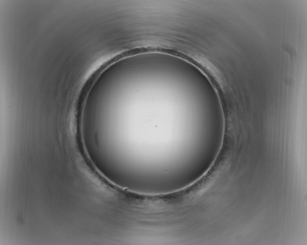 X0000112410983200908141356