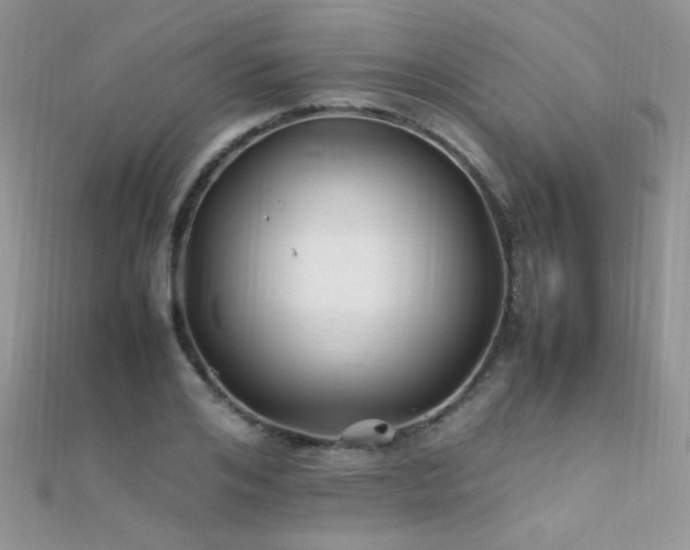X0000112410984200908141356