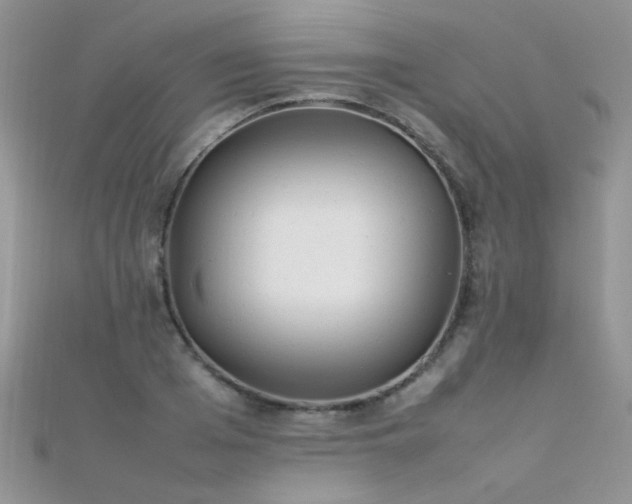 X0000112410985200908141356