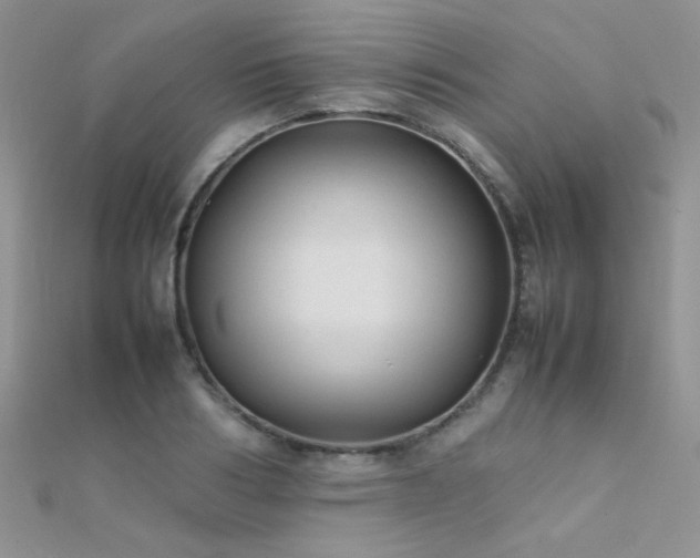 X0000112410986200908141356