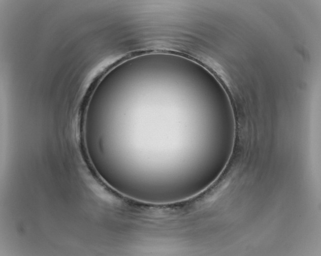 X0000112410987200908141356