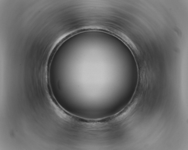 X0000112410988200908141356