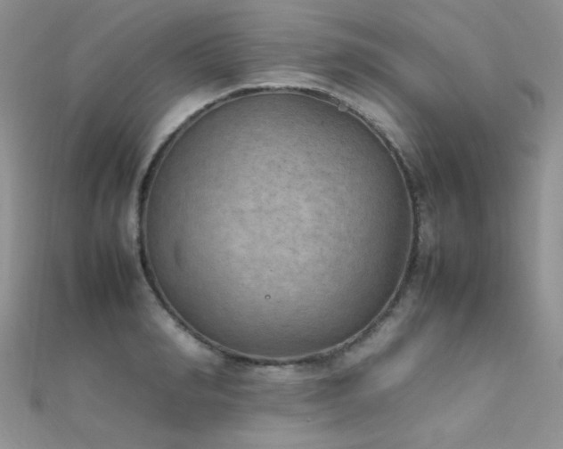 X0000112410990200908141356