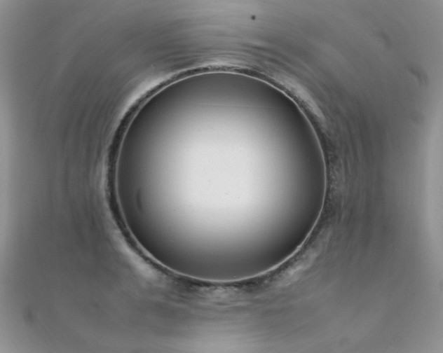 X0000112410991200908141356