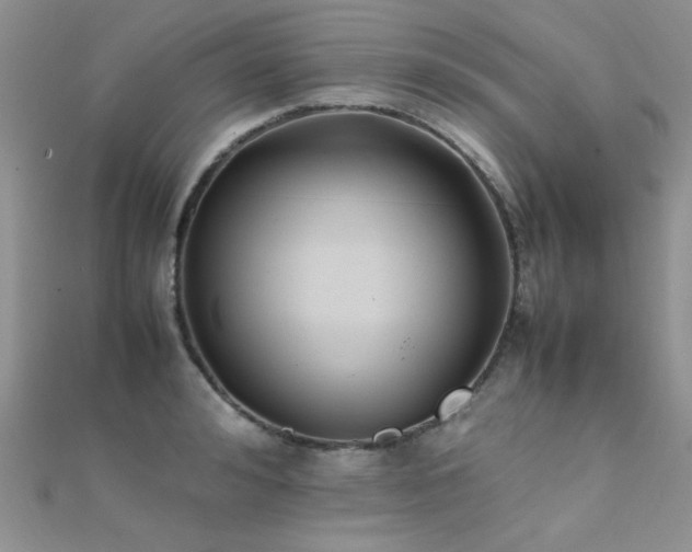 X0000112410992200908141356