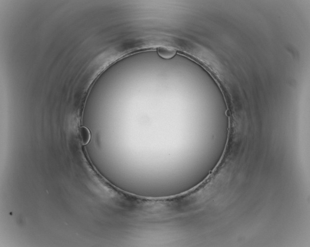X0000112410993200908141356