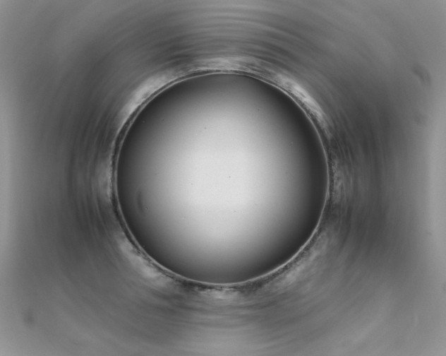 X0000112410994200908141356