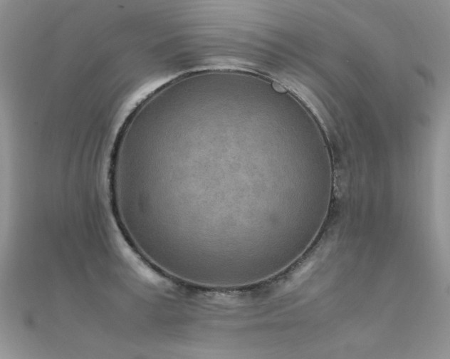 X0000112410995200908141356