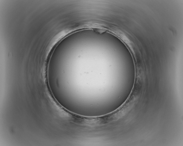 X0000112410997200908141356