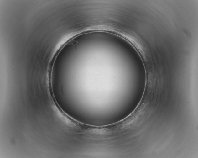 X0000112410998200908141356