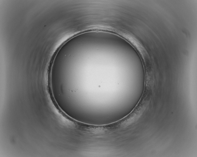 X0000112410999200908141356