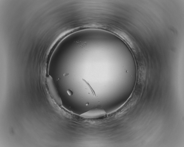 X0000112411000200908141356