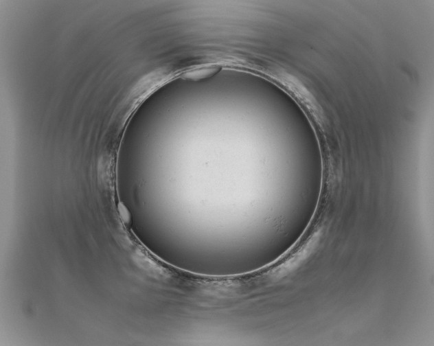 X0000112411001200908141356