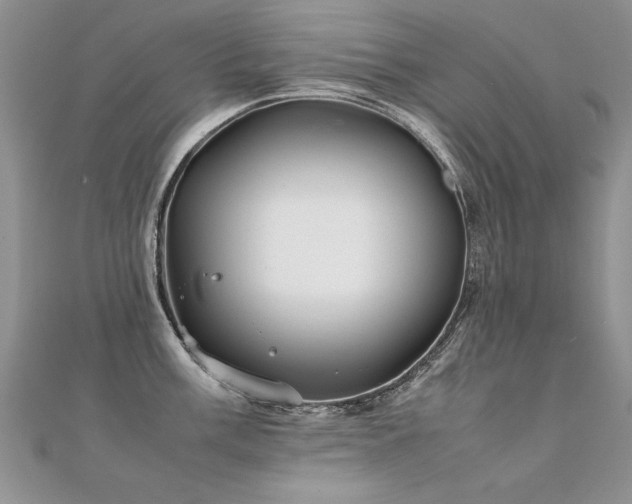 X0000112411003200908141356