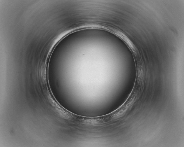 X0000112411004200908141356