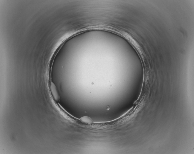 X0000112411005200908141356