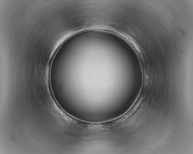 X0000112411006200908141356