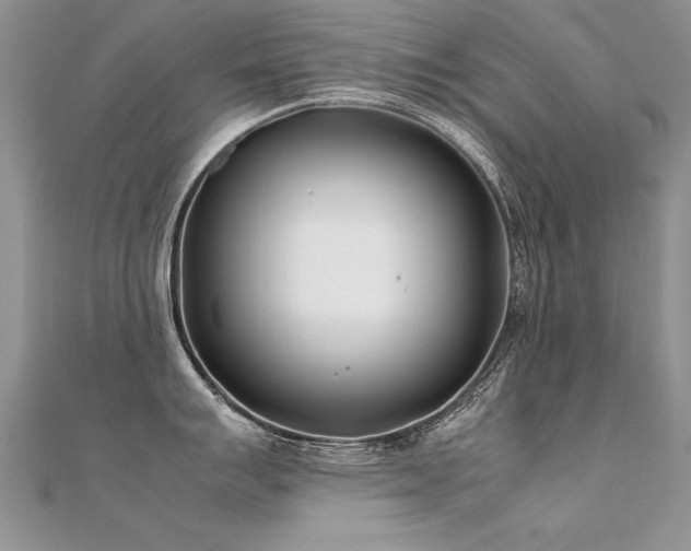 X0000112411007200908141356