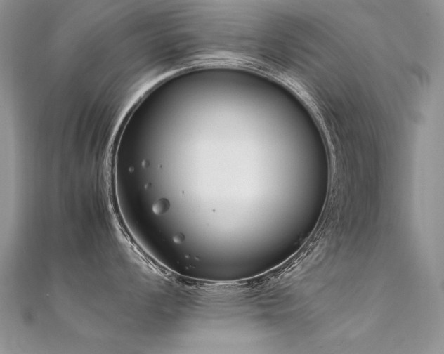 X0000112411008200908141356