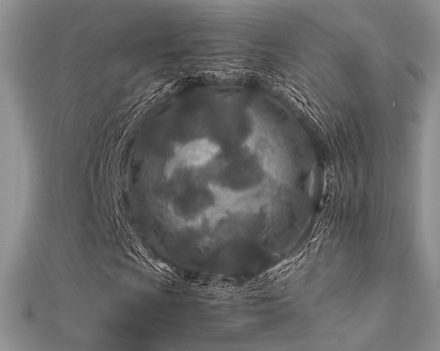 X0000112411009200908141355