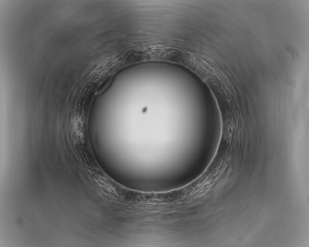 X0000112411010200908141355
